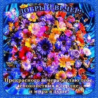 Открытка «Пожелание»: Добрый вечер с пожеланием мира и цветов. Тэги: красивая, позитив, цветок, настроение, нежная…