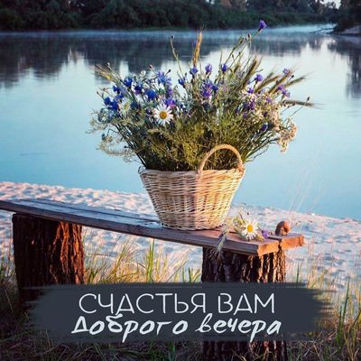 Открытка «Пожелание»: «Доброго вечера»: счастье, цветы и уют у реки. Тэги: красивая, цветок, настроение, счастье…