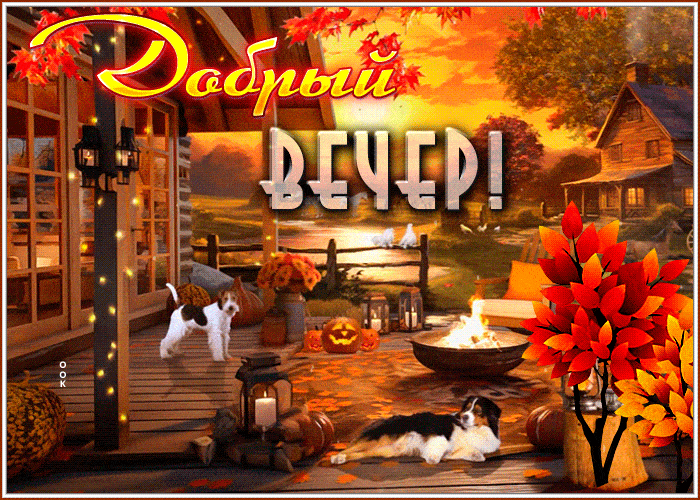 Открытка «Животное»: Добрый вечер! Уютная осенняя открытка с собаками. Тэги: пожелание, красивая, позитив, радость…