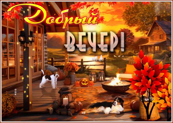 Открытка «Животное»: Добрый вечер! Уютная осенняя открытка с собаками. Тэги: пожелание, красивая, позитив, радость…