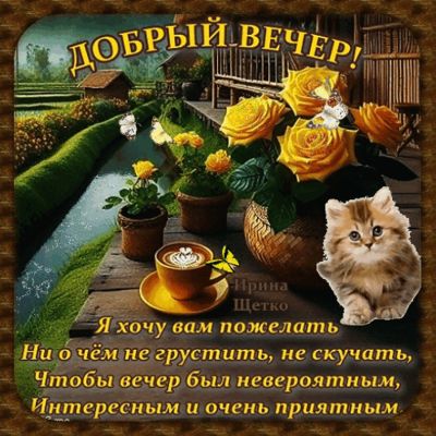 Открытка «Кот»: Уютный «Добрый вечер!» с котиком и розами. Тэги: пожелание, красивая, кофе, позитив, радость, цветок…