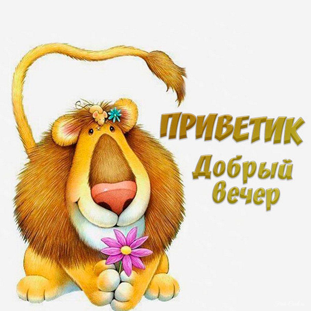 Открытка «Животное»: Добрый вечер с милым львенком и улыбкой. Тэги: пожелание, прикольная, улыбка, красивая, позитив…