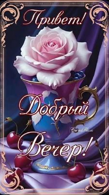 Открытка «Пожелание»: Добрый вечер! Нежная роза в чашке и вишни. Тэги: позитив, цветок, чашка, настроение, милый…