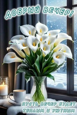 Открытка «Пожелание»: Добрый вечер! Теплый и уютный с каллами и свечой. Тэги: красивая, кофе, цветок, окно, чашка…