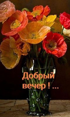Открытка «Пожелание»: Добрый вечер! Красивый букет для настроения. Тэги: красивая, позитив, радость, цветок, настроен…