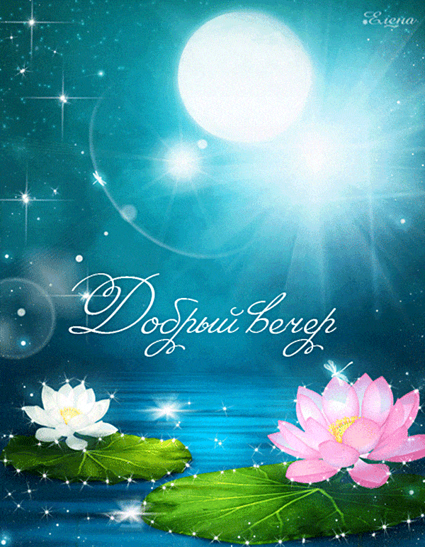 Открытка «Пожелание»: Добрый вечер: нежные лотосы и волшебная луна. Тэги: красивая, позитив, цветок, настроение…
