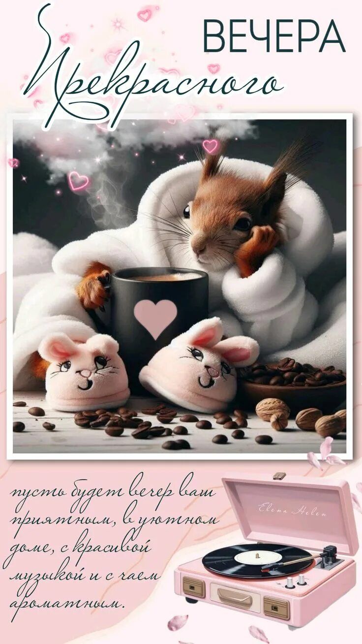 Открытка «Животное»: Прекрасного вечера: уют, тепло и милая белка. Тэги: пожелание, улыбка, кофе, позитив, белка, чай…