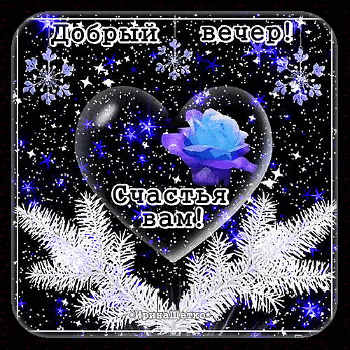Открытка «Пожелание»: Добрый вечер! Зимняя открытка: счастье и роза. Тэги: красивая, сердце, цветок, настроение…