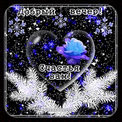 Открытка «Пожелание»: Добрый вечер! Зимняя открытка: счастье и роза. Тэги: красивая, сердце, цветок, настроение…