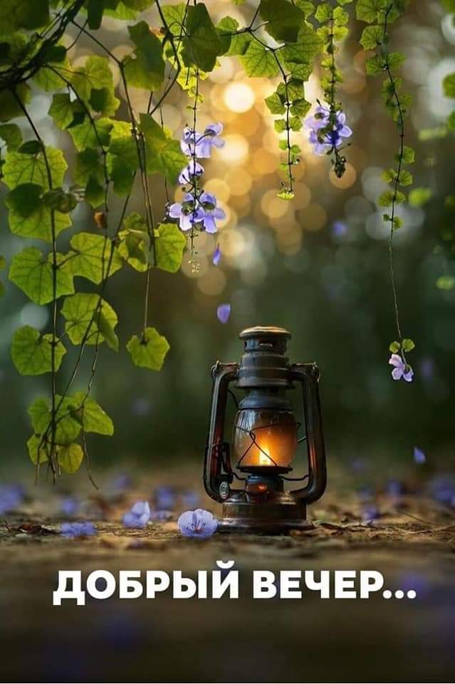 Открытка «Пожелание»: Открытка «Добрый вечер» — нежный свет и цветы. Тэги: красивая, цветок, фонарь, настроение…