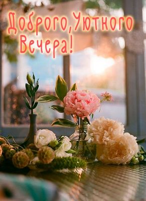Открытка «Пожелание»: «Доброго, Уютного Вечера»: нежные цветы. Тэги: красивая, позитив, радость, цветок, окно, стол…
