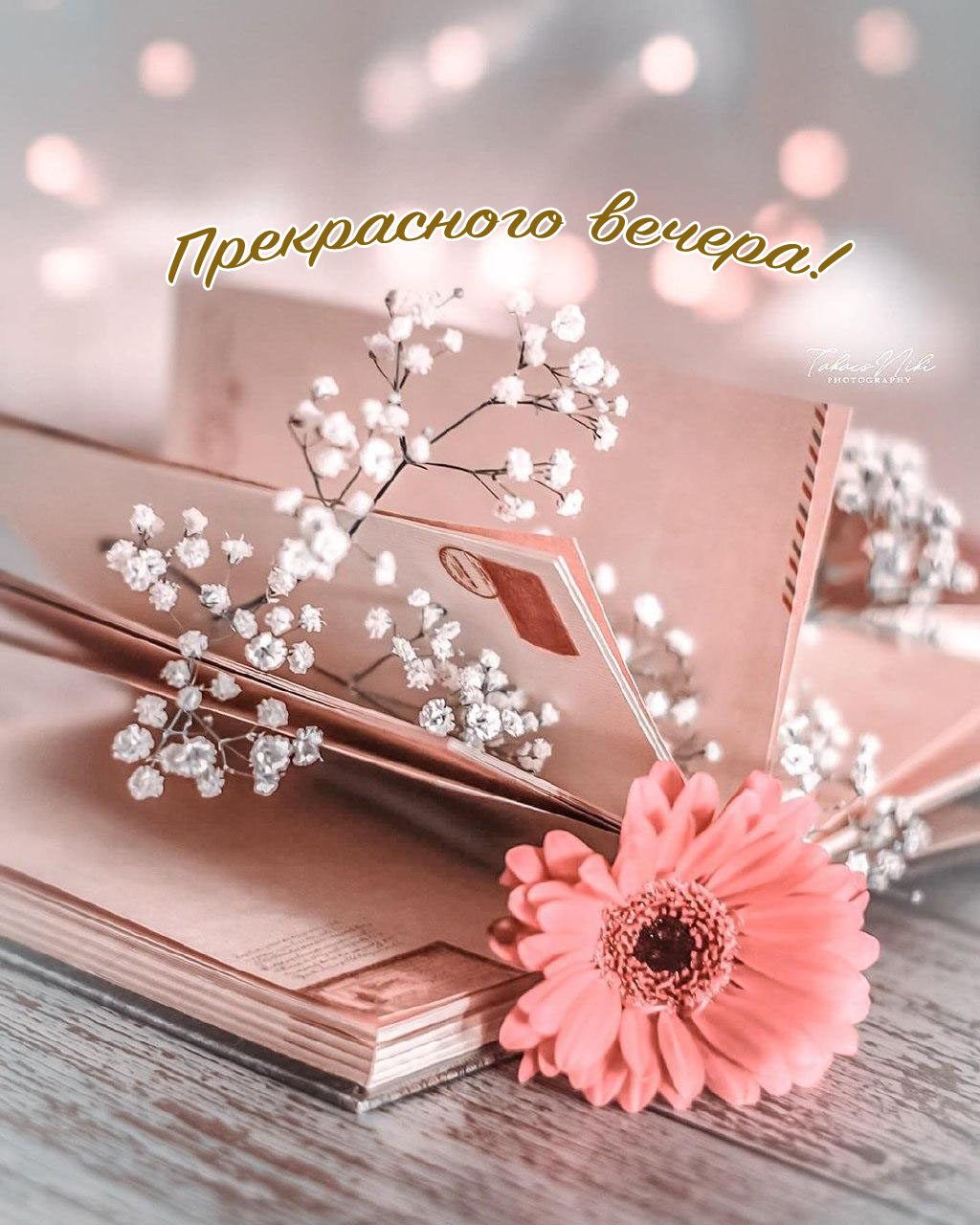 Открытка «Пожелание»: Нежный вечер: красивая открытка с пожеланием. Тэги: красивая, позитив, цветок, настроение…