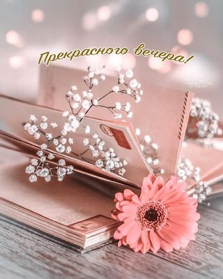 Открытка «Пожелание»: Нежный вечер: красивая открытка с пожеланием. Тэги: красивая, позитив, цветок, настроение…