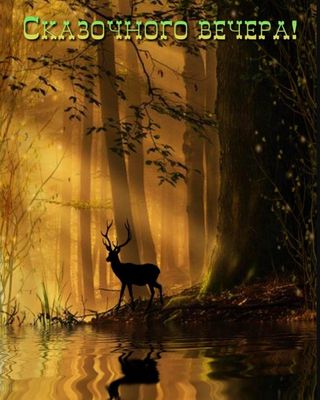 Открытка «Животное»: Красивая открытка: Сказочного вечера с оленем. Тэги: пожелание, красивая, позитив, настроение…