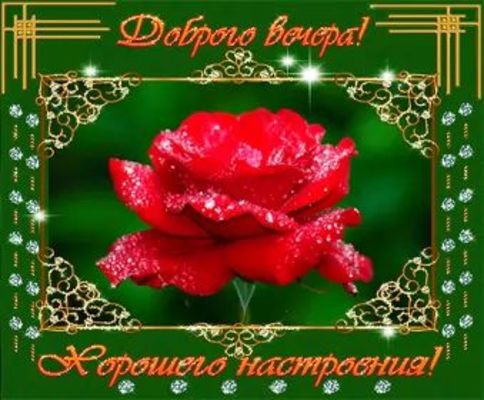 Открытка «Пожелание»: Доброго вечера! Красивая роза для хорошего настроения. Тэги: улыбка, красивая, позитив, радость…