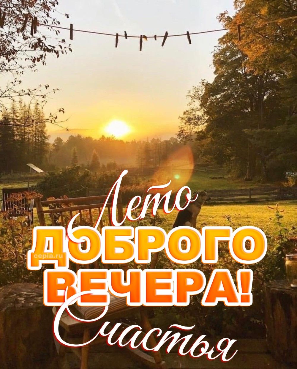 Открытка «Пожелание»: Лето доброго вечера! Красивое пожелание счастья. Тэги: улыбка, красивая, позитив, радость…