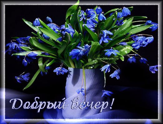 Открытка «Пожелание»: Нежные весенние цветы: Добрый вечер!. Тэги: красивая, цветок, настроение, нежная, весна, природа…