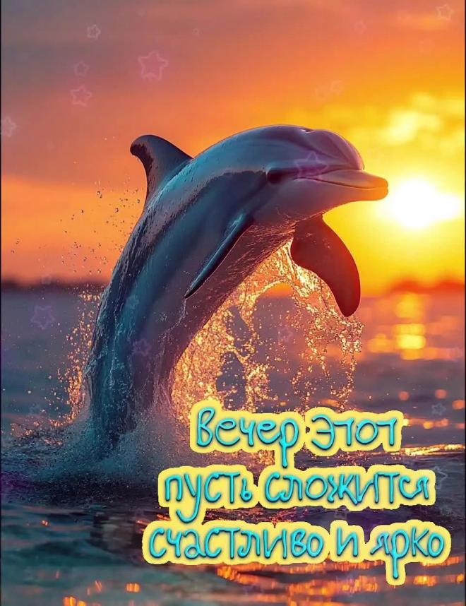 Открытка «Животное»: Яркий вечер с дельфином: пусть сложится счастливо!. Тэги: пожелание, улыбка, красивая, позитив…