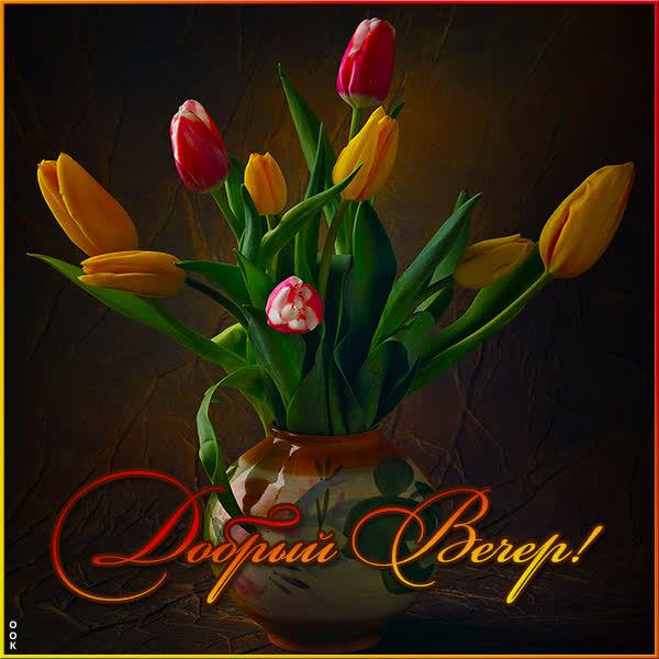 Открытка «Пожелание»: Красивые тюльпаны: пожелание доброго вечера. Тэги: красивая, цветок, настроение, нежная, весна…