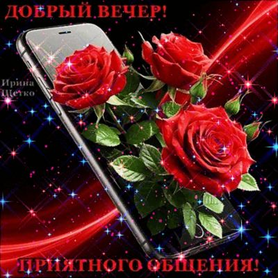 Открытка «Пожелание»: Добрый вечер: Розы и приятного общения. Тэги: красивая, позитив, радость, цветок, настроение…