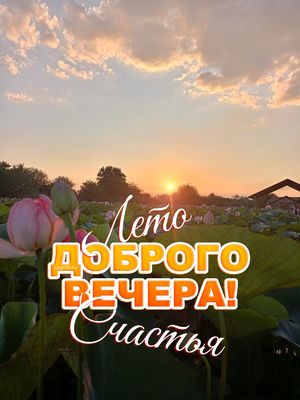 Открытка «Пожелание»: Лето, Доброго Вечера и Счастья! Красивая открытка. Тэги: красивая, позитив, радость, цветок…