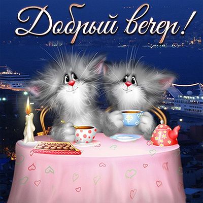 Открытка «Кот»: Добрый вечер с котиками и чаем: уют и позитив. Тэги: пожелание, улыбка, позитив, сердце, чай, чашка…