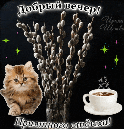 Открытка «Кот»: «Добрый вечер» и уютное пожелание с котиком. Тэги: животное, пожелание, красивая, кофе, позитив…