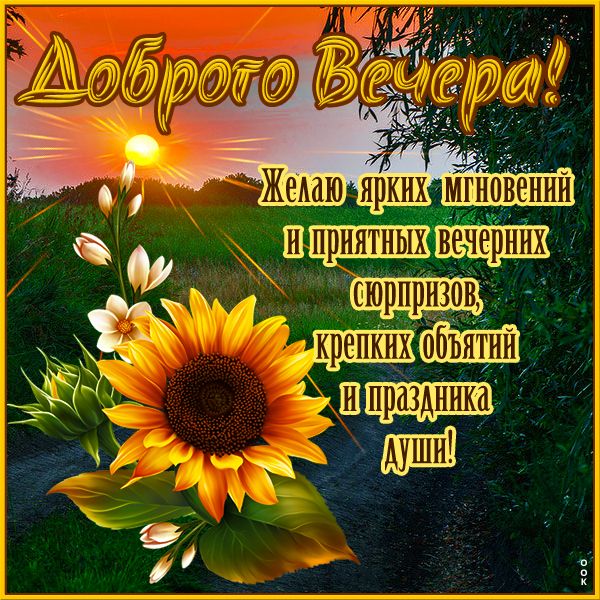 Открытка «Пожелание»: Доброго Вечера! Солнце, цветок и душевное пожелание. Тэги: красивая, позитив, радость, цветок…