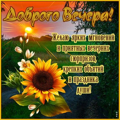 Открытка «Пожелание»: Доброго Вечера! Солнце, цветок и душевное пожелание. Тэги: красивая, позитив, радость, цветок…
