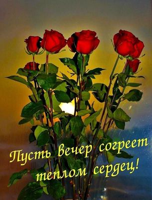 Открытка «Пожелание»: Нежный вечер: пусть теплом согреет сердце!. Тэги: красивая, позитив, радость, сердце, цветок…