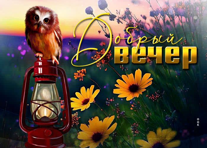 Открытка «Животное»: Красивый вечер с милой совой и цветами для настроения. Тэги: пожелание, улыбка, красивая, позитив…