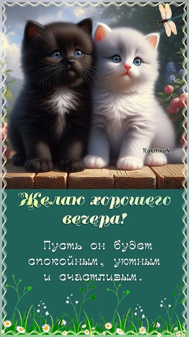 Открытка «Кот»: Хороший вечер с котятами: уют, покой и счастье. Тэги: животное, пожелание, красивая, позитив, радость…