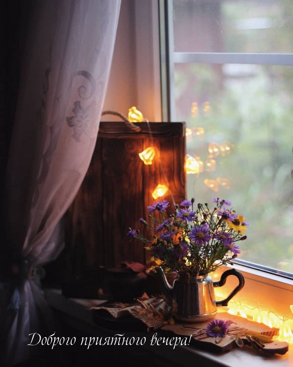 Открытка «Пожелание»: Уютный вечер: Доброго приятного вечера! Пожелание. Тэги: красивая, цветок, осень, окно, настрое…