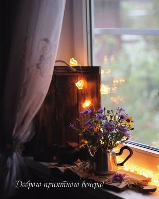 Открытка «Пожелание»: Уютный вечер: Доброго приятного вечера! Пожелание. Тэги: красивая, цветок, осень, окно, настрое…