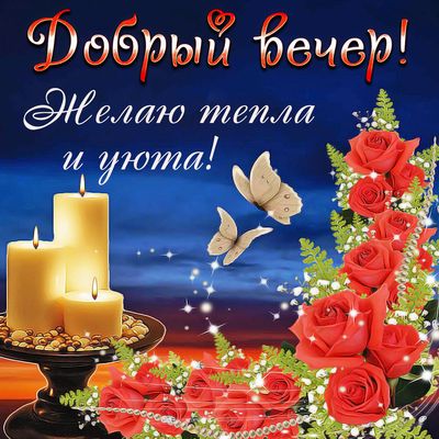 Открытка «Животное»: Добрый вечер: пожелание тепла и уюта. Тэги: пожелание, красивая, цветок, уют, настроение, нежная…