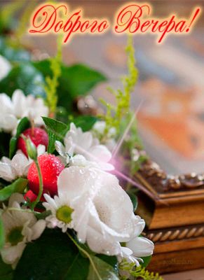 Открытка «Пожелание»: «Доброго Вечера» — красивая открытка с цветами. Тэги: улыбка, красивая, позитив, радость, цветок…