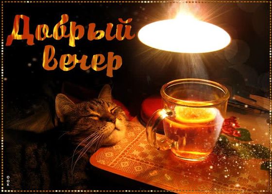 Открытка «Кот»: «Добрый вечер»: кот, чай и уютное настроение. Тэги: животное, пожелание, красивая, позитив, чай, чашка…
