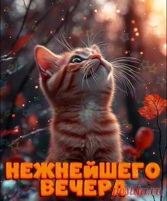 Открытка «Кот»: Нежнейшего вечера: милый котёнок и осенний уют. Тэги: животное, пожелание, улыбка, красивая, позитив…