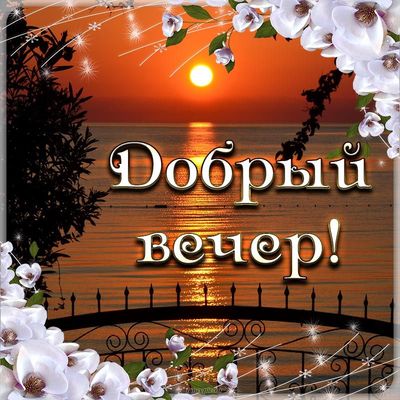 Открытка «Пожелание»: Добрый вечер: красивый закат и цветы. Тэги: позитив, радость, цветок, настроение, природа…