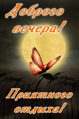 Открытка «Пожелание»: Доброго вечера! Приятного отдыха с бабочкой. Тэги: красивая, настроение, природа, милая, бабочка…