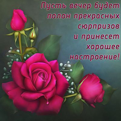 Открытка «Пожелание»: Прекрасный вечер: роза и хорошее настроение. Тэги: улыбка, красивая, позитив, радость, цветок…