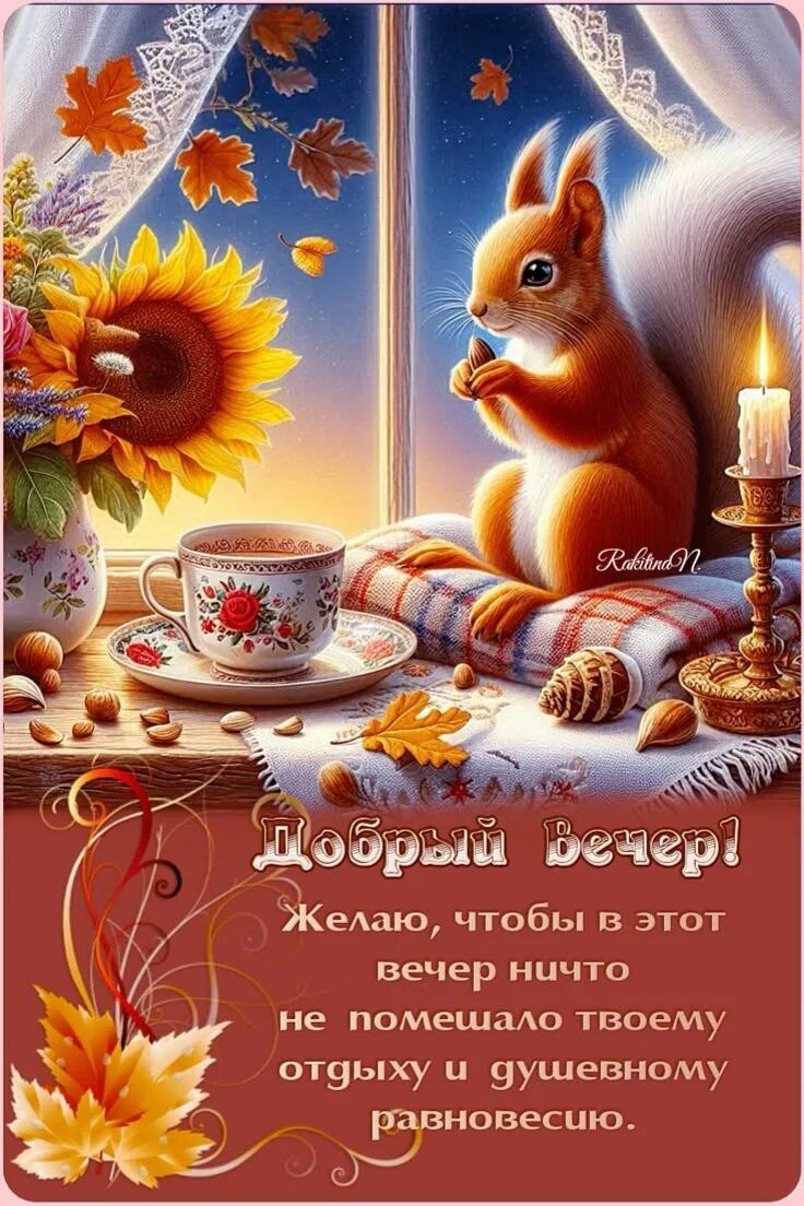 Открытка «Животное»: Добрый вечер: уютное пожелание с осенним настроением. Тэги: пожелание, красивая, белка, чай…