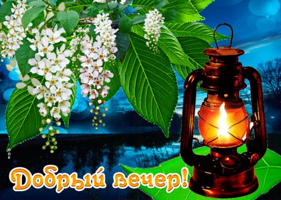 Открытка «Пожелание»: Добрый вечер! Красивая открытка с цветами и фонарём. Тэги: улыбка, красивая, позитив, цветок…