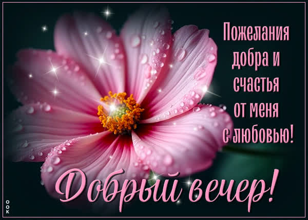 Открытка «Пожелание»: Добрый вечер! Пожелания добра, счастья и любви. Тэги: улыбка, красивая, позитив, радость, цветок…