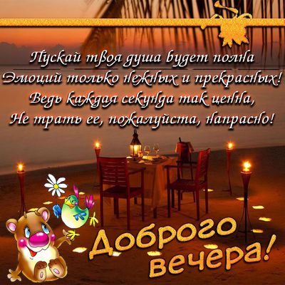 Открытка «Животное»: Красивая открытка «Доброго вечера!» с нежным пожеланием. Тэги: пожелание, улыбка, красивая…