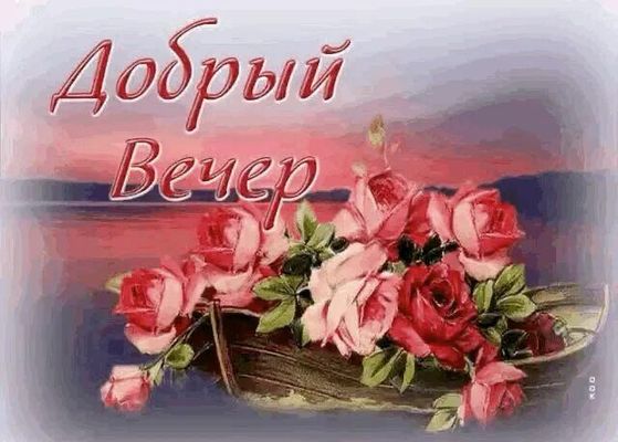 Открытка «Пожелание»: Добрый Вечер: нежный букет роз для прекрасного вечера. Тэги: красивая, позитив, радость, цветок…