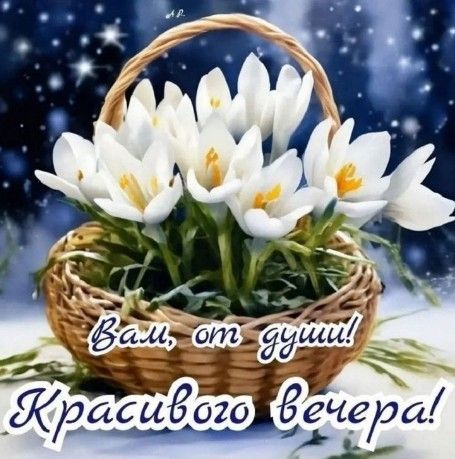 Открытка «Пожелание»: Красивого вечера! Пожелание от души с цветами. Тэги: красивая, позитив, цветок, настроение…