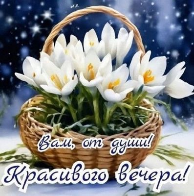 Открытка «Пожелание»: Красивого вечера! Пожелание от души с цветами. Тэги: красивая, позитив, цветок, настроение…