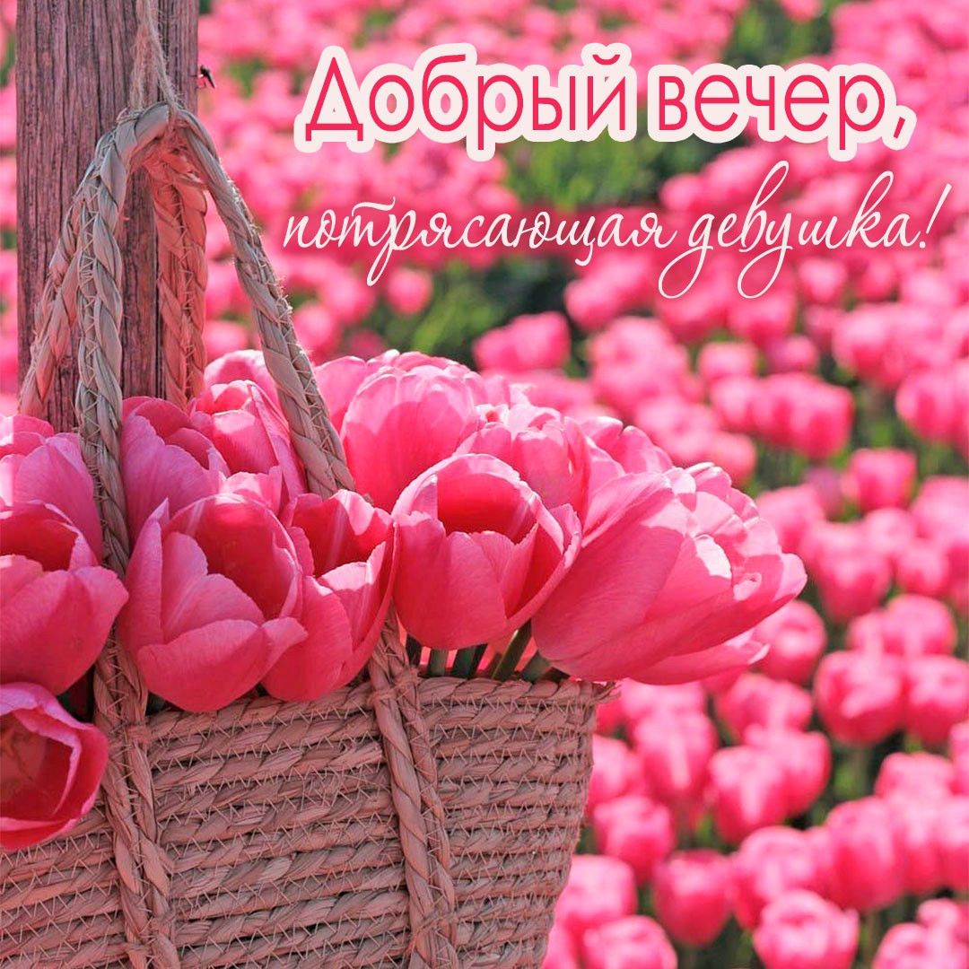 Открытка «Пожелание»: Нежный вечер для потрясающей девушки с тюльпанами. Тэги: девушка, красивая, позитив, радость…