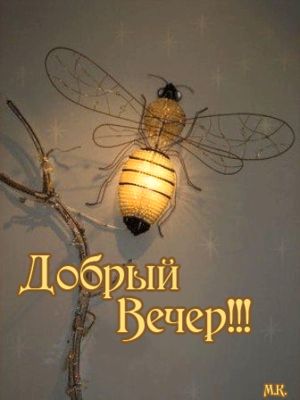 Открытка «Животное»: Добрый Вечер с уютной светящейся пчелой. Тэги: пожелание, улыбка, красивая, позитив, радость…
